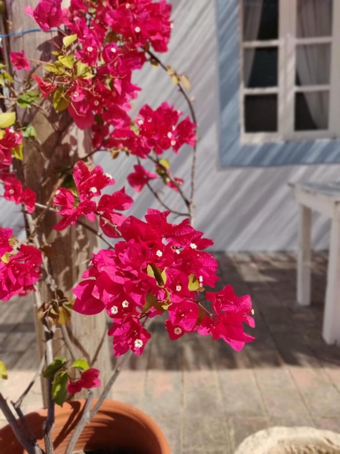 Casa Largo Do Poco Guesthouse Alvor Exterior photo